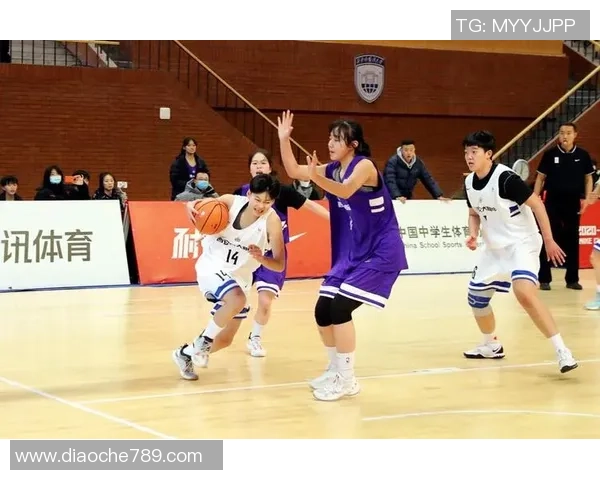 深入分析西安篮球队控制打法的战术特点与比赛策略